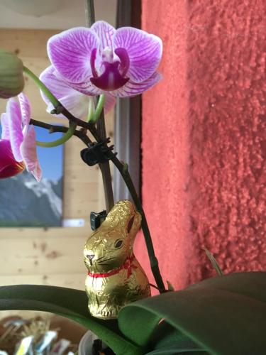 a vase with a purple flower in it at Hotel Stüa Granda in Soglio