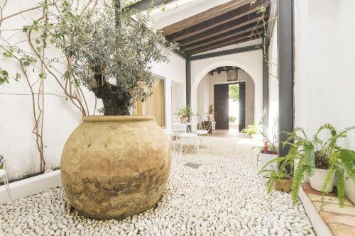 a large vase with a plant in the middle of a hallway at Mar Abierto B in Sanlúcar de Barrameda