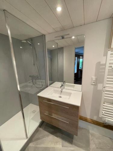 une salle de bain avec un lavabo et une douche dans l'établissement Chalet type pagotin rénové au coeur, à Métabief