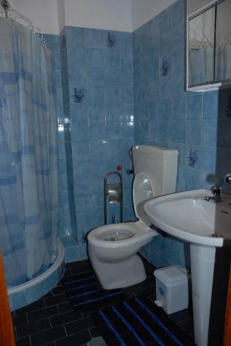 Baño de azulejos azules con aseo y lavamanos en Apartamento Tatiana, en Seia