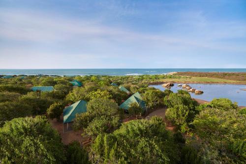 an aerial view of a resort with a river and trees at Cinnamon Wild Yala in Yala
