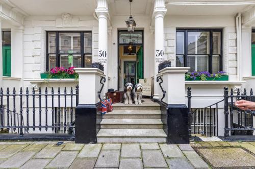 a dog standing on the steps of a house at Vancouver Hotel and Studios in London