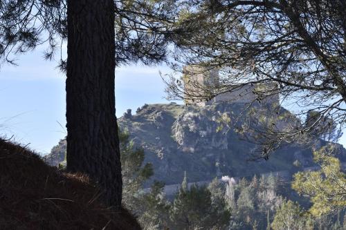 Φυσικό τοπίο κοντά σε αυτό το διαμέρισμα