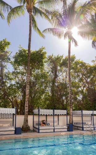 a pool with two palm trees and a dog laying on benches at The Seagate in Delray Beach