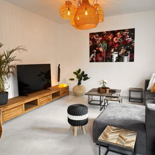 a living room with a television and a couch at Résidence Alissa Charleroi Airport in Charleroi