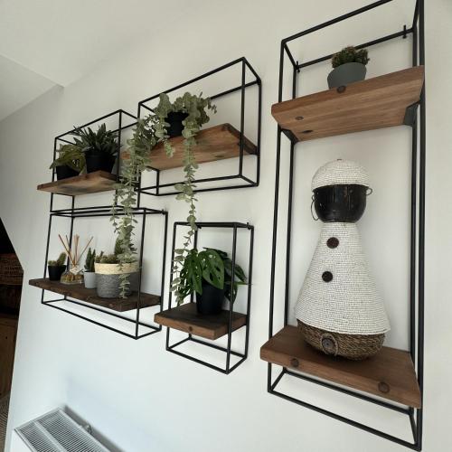 a room with shelves with potted plants on them at Résidence Alissa Charleroi Airport in Charleroi