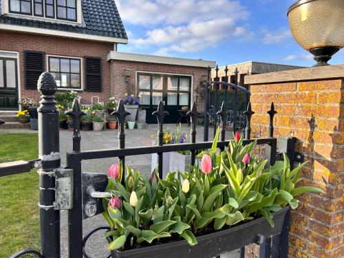 a fence with pink tulips in a flower box at Flowerbed in Voorhout