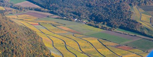 an aerial view of a field with crops and trees at Winzerhof Düring in Iphofen