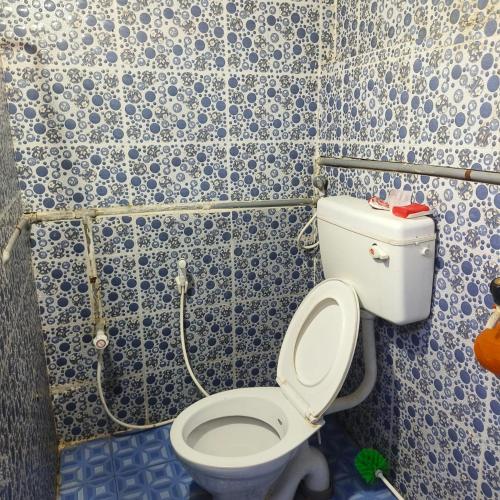 a bathroom with a toilet with blue and white tiles at Wild woods in Vālpārai