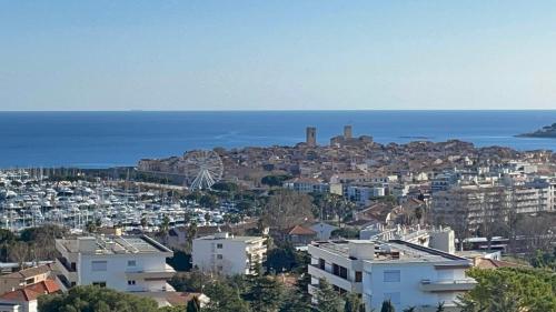 Superbe 2 pièces Antibes vue mer, piscine, parking photo 3