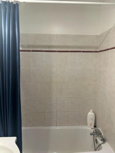 La salle de bains est pourvue d'une baignoire avec un rideau de douche bleu. dans l'établissement Le rêve bleu Grand Balcon, à Carcassonne