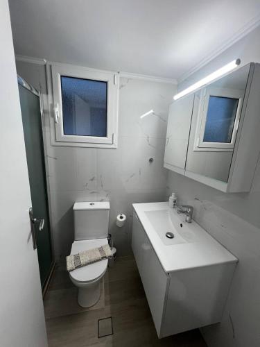 a bathroom with a toilet and a sink and two windows at Sisyphys Kingdom in Korinthos