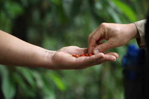 a person holding a handful of food in their hands at Portal del Sol in Villagarzón
