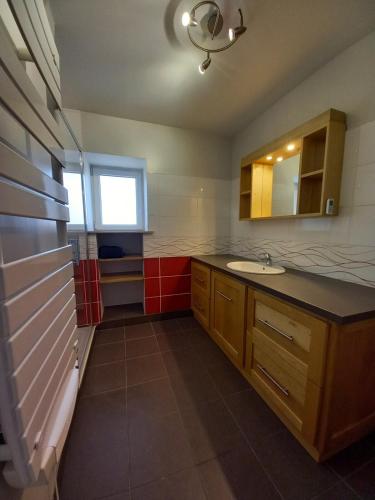 une grande salle de bain avec un lavabo et un miroir dans l'établissement Gîte, Maison de campagne, à Maizières
