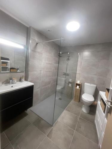 une salle de bain avec une douche, des toilettes et un lavabo dans l'établissement L'écrin de Paray, sleeps 6, à Paray-le-Monial