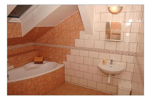 a bathroom with a bath tub and a sink at Penzion Daniela in Horní Planá