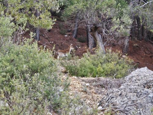 Φυσικό τοπίο κοντά σε αυτό το διαμέρισμα