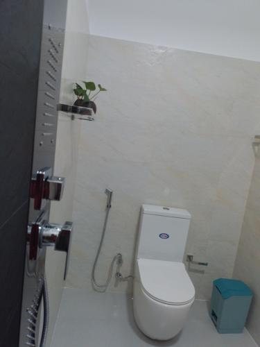 a small bathroom with a toilet and a shower at COCO Rooms in Galle