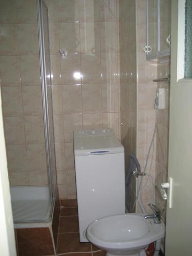 a small bathroom with a toilet and a shower at Garsonieră Brazda lui Novac in Craiova