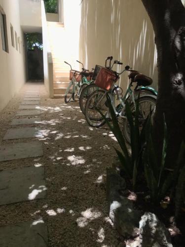 a group of bikes parked next to a building at Sweet Apartment Tulum town Great Pool in Tulum