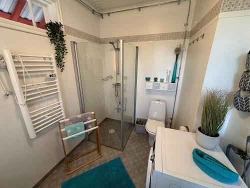 HögsbyにあるStationskontorのシャワーとトイレ付きのバスルーム