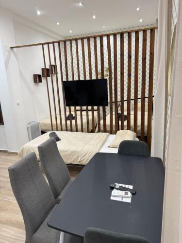 Luxury Apartments Near the Beach and Downtown CENTRUM 8