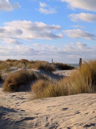 a sandy beach with tall grass and the ocean at Ti Malo - studio proche plage Dunkerque in Dunkerque