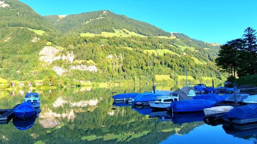 a bunch of boats parked in a lake with mountains at Ferienhaus Lungern see-you in Lungern