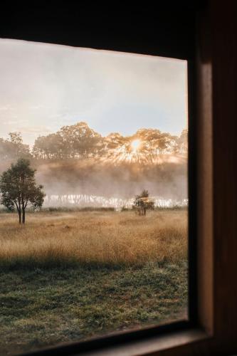 a view from a window of a field with fog at Lakeside Off-Grid Cabin - Pet Friendly - Freja in Rylstone