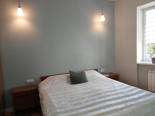 a bedroom with a bed with two pillows on it at Студія поряд з замком Любарта in Luts'k