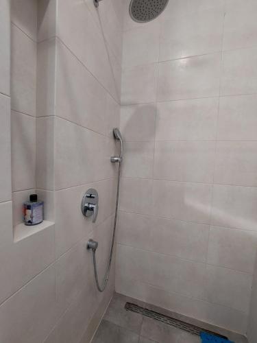a shower in a bathroom with a shower at Студія поряд з замком Любарта in Luts'k