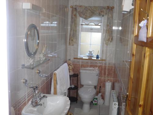 a bathroom with a sink and a toilet and a mirror at Kilmacale House in Kilbrittain