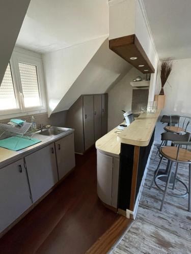 une cuisine avec un évier et un plan de travail dans l'établissement Charmant appartement Centre ville, à Orléans