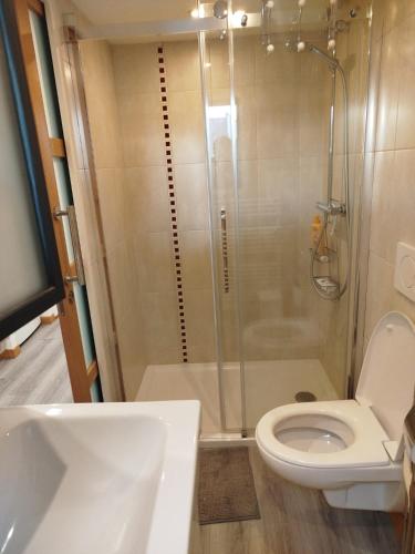 a bathroom with a shower and a toilet at Les hortensias in Lannion