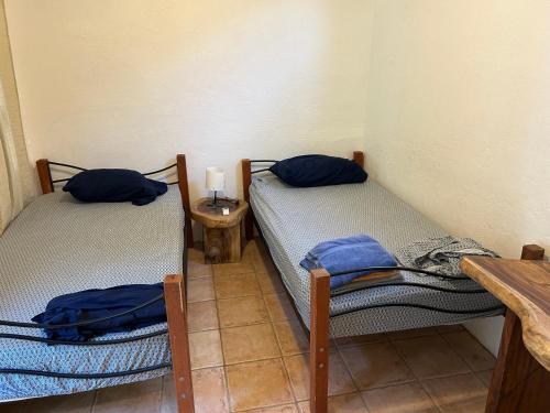 two twin beds in a small room with a table at Pura Vida Hostel in Tamarindo
