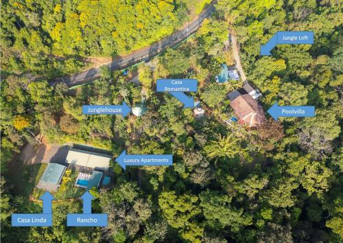 an aerial view of a forest with blue arrows at Paradiselodge Jungleguesthouse in Platanillo