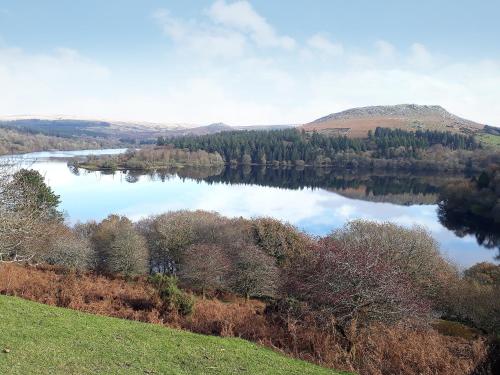 a view of a lake with trees and a mountain at Southlake Barn in Dousland