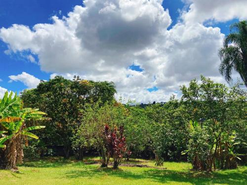 a group of trees and grass with a cloudy sky at Sítio Pand'Oro in Atibaia