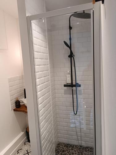 une douche avec une porte vitrée dans une salle de bain dans l'établissement Havre de paix coeur de Vichy, à Vichy