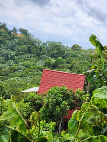 Landskap semula jadi dekat dengan chalet