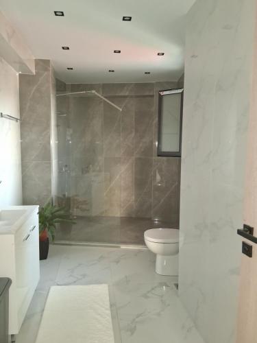 a bathroom with a shower and a toilet and a sink at arvangroup-apartments in Nafpaktos