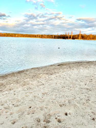 a beach with a body of water with trees in the background at Wood&Stone - Modernes Haus in Seenähe am Tankumsee mit Terrasse, Outdoorküche, Kamin, Homeoffice Bereich & voll ausgestatteter Küche im Naherholungsgebiet in Isenbüttel
