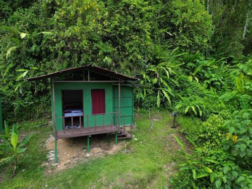 Gallery image of Río Verde Ecolodge in Puerto Jiménez
