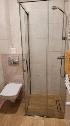 a bathroom with a glass shower with a toilet at Gospodarstwo Gościnne Joanna Tadeusz Pietras in Krzyszkowo
