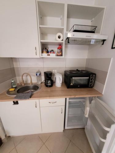 kuchnia z blatem z kuchenką mikrofalową i zlewem w obiekcie Studio Chez Gregoire w Prowansji w mieście Cabasse
