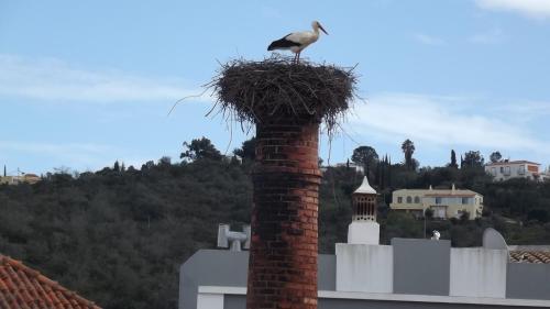 Φωτογραφία από το άλμπουμ του Casa à Porta do Torreão σε Silves