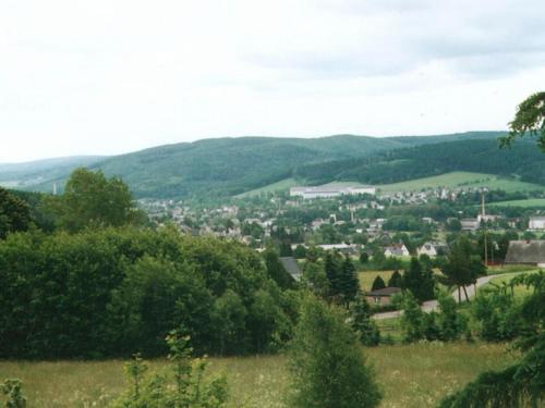 a view of a town from a hill at Holiday home by the forest in Olbernhau
