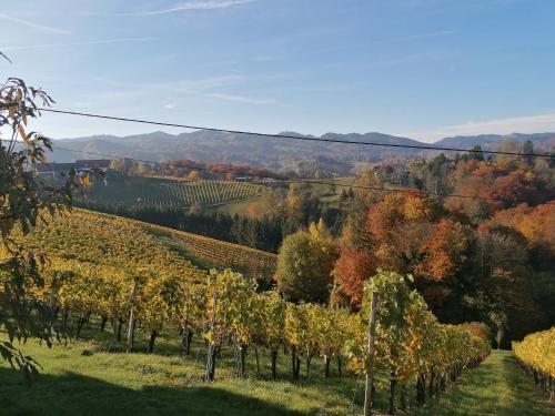 a view of a vineyard with trees and hills at Ferienwohnungen Kumpitsch am Poharnigberg in Leutschach