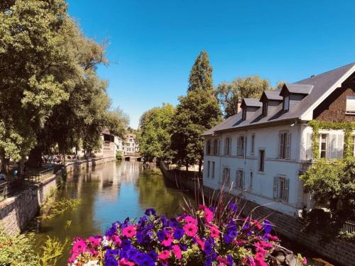 a river with flowers in front of a building at Azuria Black Forest Loft in Kappelrodeck