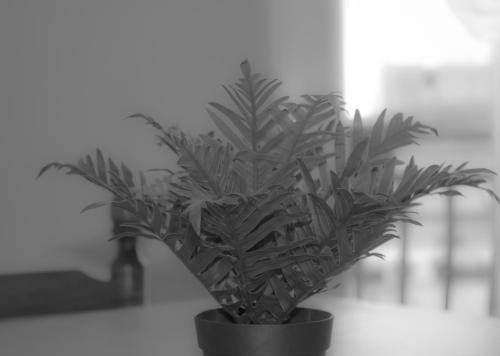 a black potted plant sitting on a table at La casa di Belle in Castelchiodato